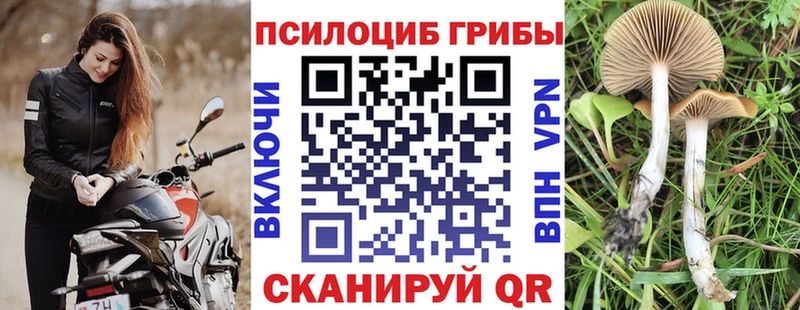 Галлюциногенные грибы мухоморы  ОМГ ОМГ   Хилок 